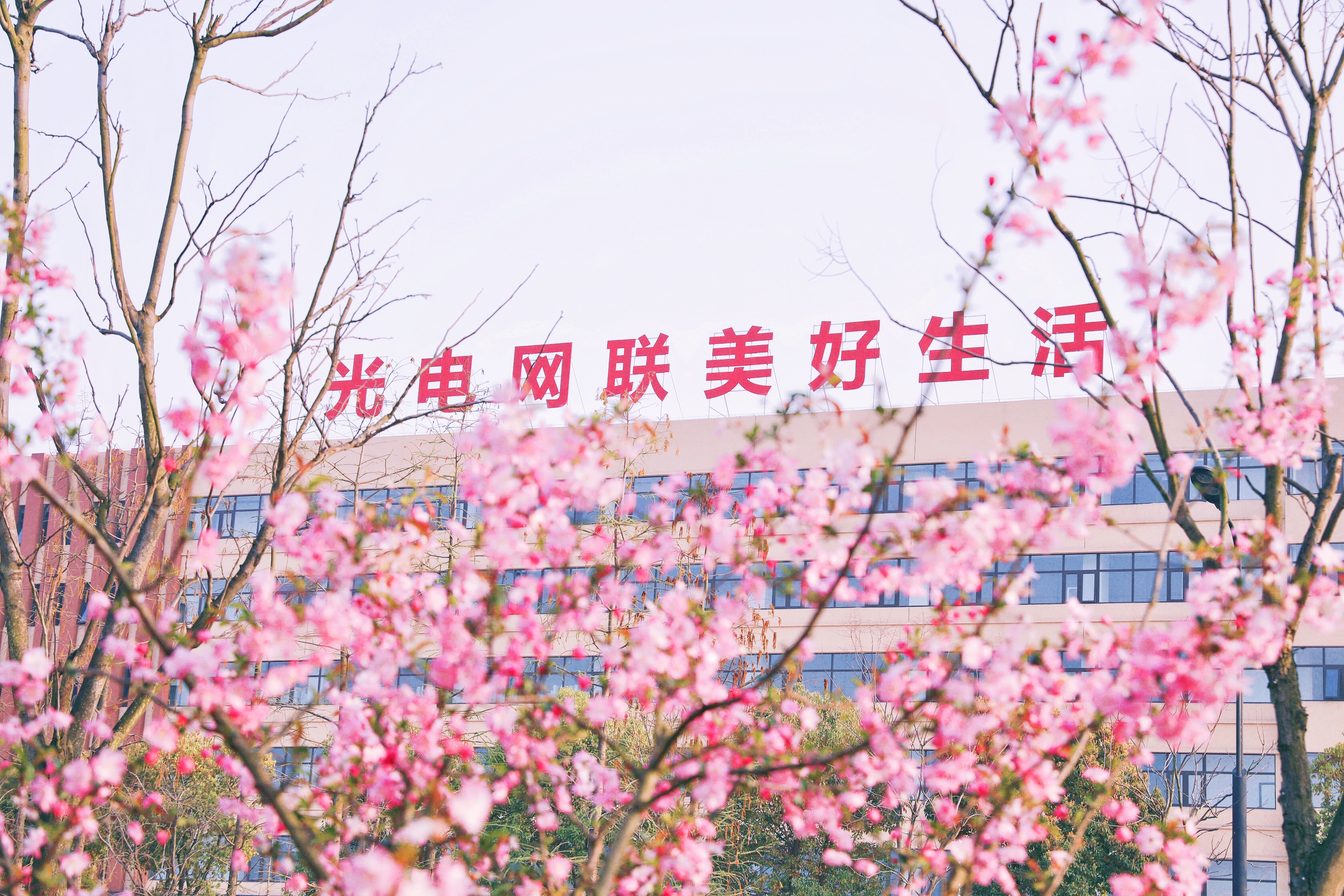 首页| G22恒峰集团中国官方网站